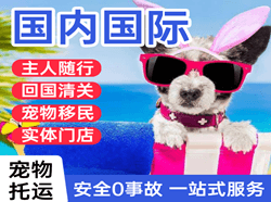 舟山普陀山机场物流国际宠物托运 【国